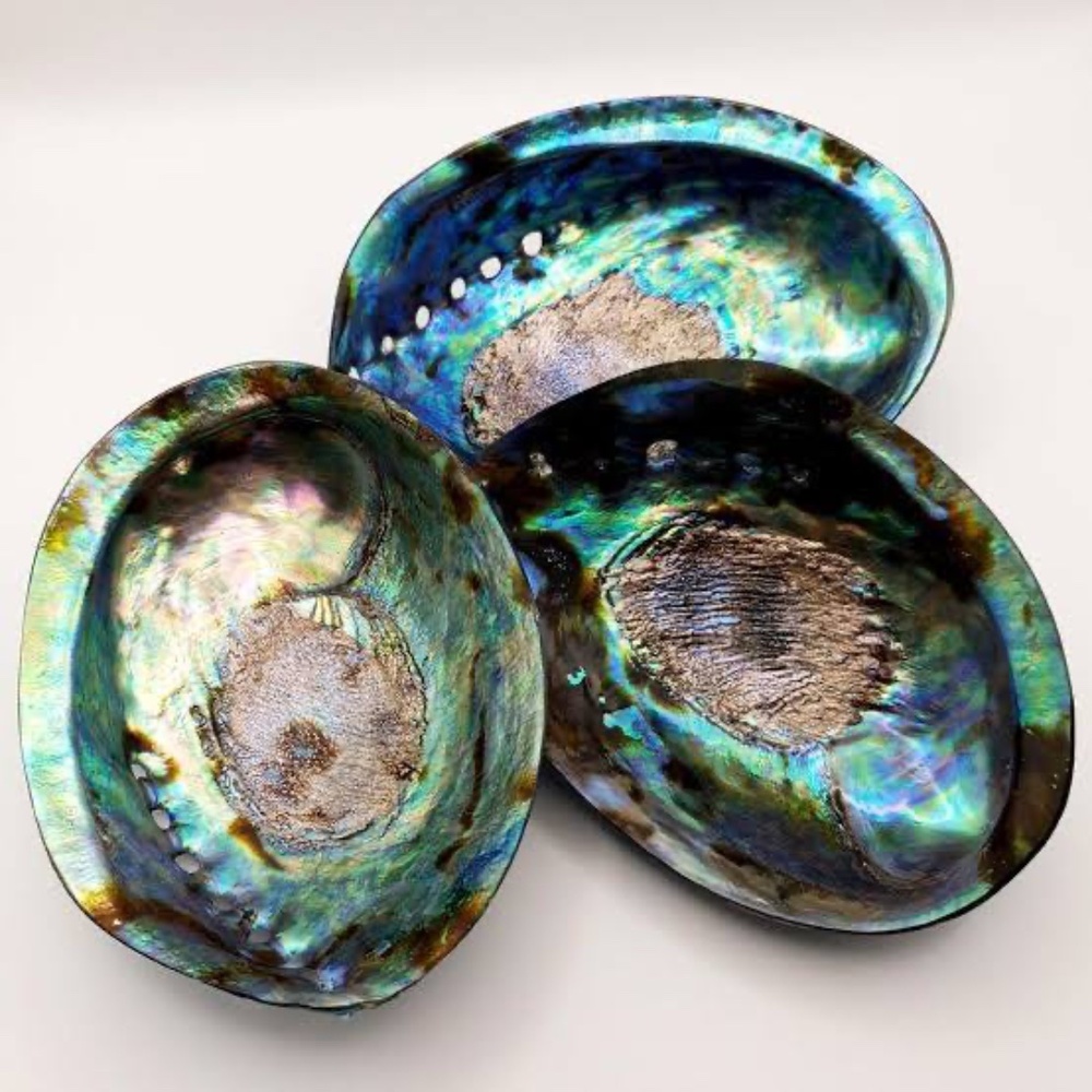 Abalone Sea Shell Hoop Earring (single) - Picture 9 of 10